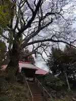 観音寺(福島県)