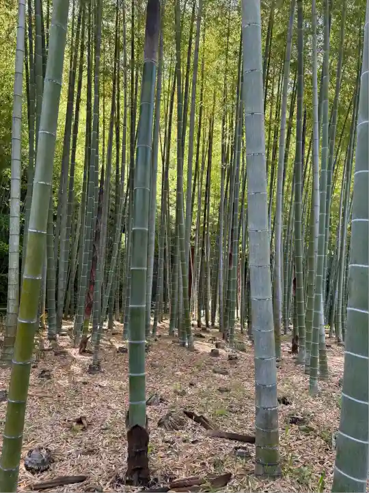 英勝寺(神奈川県)