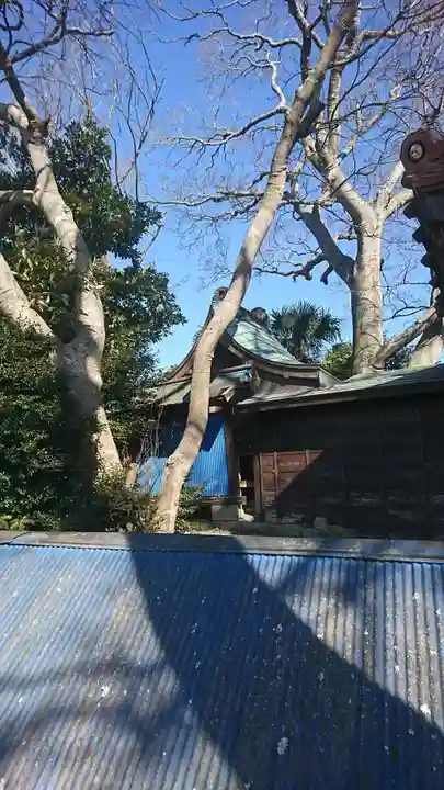 鹿島神社の自然