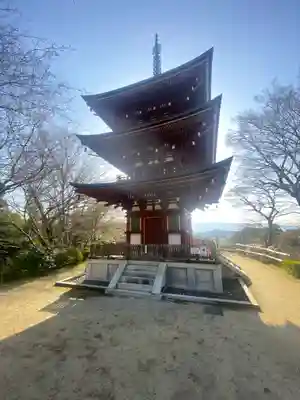 岡寺(龍蓋寺)(奈良県)