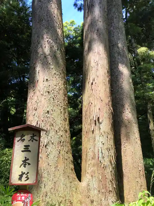 笠森寺(千葉県)