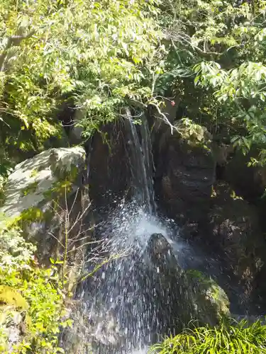 鹿苑寺（金閣寺）の自然