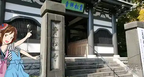 青松寺の山門