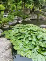 本光寺(愛知県)