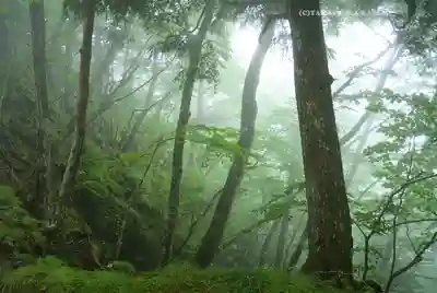 三峯神社奥宮(埼玉県)