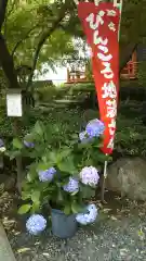 二十三夜尊 桂岸寺の自然