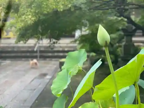 伊勢の国 四天王寺(三重県)