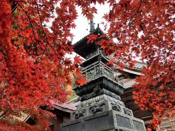 大山寺(神奈川県)