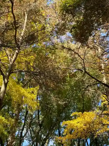 洲崎大神(神奈川県)