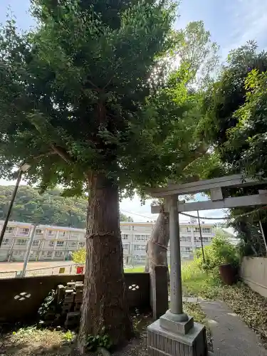 芝守稲荷神社の{uncategorized: "未分類", other: "その他", undefined: "問題あり", building: "その他建物", grave: "お墓", sacred_gate: "鳥居", guardian: "狛犬", statue: "像", buddha: "仏像", history: "歴史", nature: "自然", garden: "庭園", animal: "動物", pagoda: "塔", temizu: "手水舎", mountain_gate: "山門・神門", sanctuary: "本殿・本堂", subordinate: "末社・摂社", art: "芸術", scenery: "景色", jizo: "地蔵", ema: "絵馬", goshuin: "御朱印", omikuji: "おみくじ", items: "授与品その他", amulet: "お守り", goshuincho: "御朱印帳", eats: "食事", festival: "お祭り", votive_dance: "神楽", shichigosan: "七五三参", wedding: "結婚式", experience: "体験その他", initially: "初詣", around: "周辺", anti_infection: "感染症対策"}