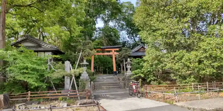 蛭子島神社(京都府)
