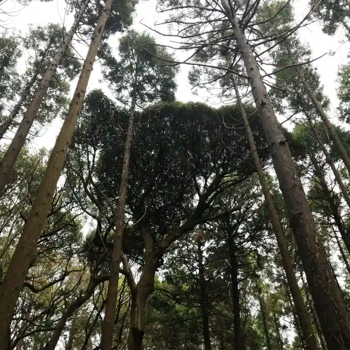 戸隠神社の自然