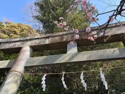 荏柄天神社の{uncategorized: "未分類", other: "その他", undefined: "問題あり", building: "その他建物", grave: "お墓", sacred_gate: "鳥居", guardian: "狛犬", statue: "像", buddha: "仏像", history: "歴史", nature: "自然", garden: "庭園", animal: "動物", pagoda: "塔", temizu: "手水舎", mountain_gate: "山門・神門", sanctuary: "本殿・本堂", subordinate: "末社・摂社", art: "芸術", scenery: "景色", jizo: "地蔵", ema: "絵馬", goshuin: "御朱印", omikuji: "おみくじ", items: "授与品その他", amulet: "お守り", goshuincho: "御朱印帳", eats: "食事", festival: "お祭り", votive_dance: "神楽", shichigosan: "七五三参", wedding: "結婚式", experience: "体験その他", initially: "初詣", around: "周辺", anti_infection: "感染症対策"}