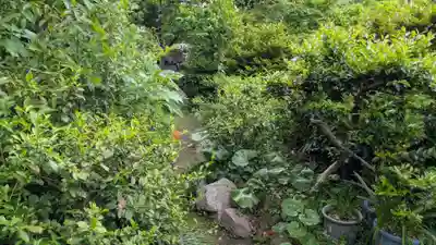 宮地嶽神社の庭園