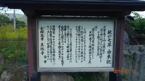 真性寺の歴史