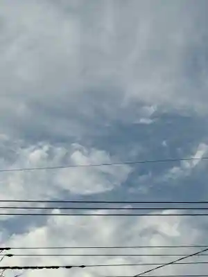 菖蒲神社(埼玉県)