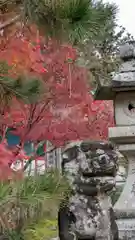 鍬山神社(京都府)