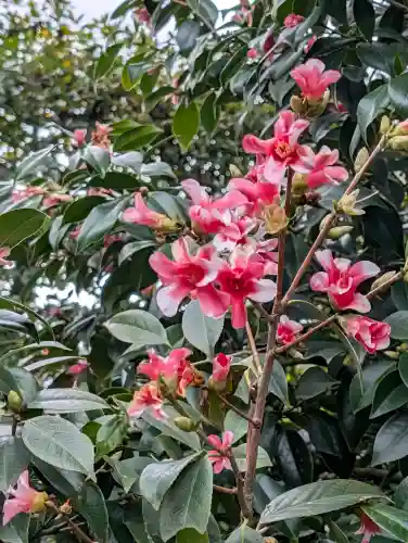 城南宮の{uncategorized: "未分類", other: "その他", undefined: "問題あり", building: "その他建物", grave: "お墓", sacred_gate: "鳥居", guardian: "狛犬", statue: "像", buddha: "仏像", history: "歴史", nature: "自然", garden: "庭園", animal: "動物", pagoda: "塔", temizu: "手水舎", mountain_gate: "山門・神門", sanctuary: "本殿・本堂", subordinate: "末社・摂社", art: "芸術", scenery: "景色", jizo: "地蔵", ema: "絵馬", goshuin: "御朱印", omikuji: "おみくじ", items: "授与品その他", amulet: "お守り", goshuincho: "御朱印帳", eats: "食事", festival: "お祭り", votive_dance: "神楽", shichigosan: "七五三参", wedding: "結婚式", experience: "体験その他", initially: "初詣", around: "周辺", anti_infection: "感染症対策"}