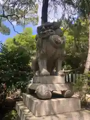 和歌山縣護國神社の狛犬