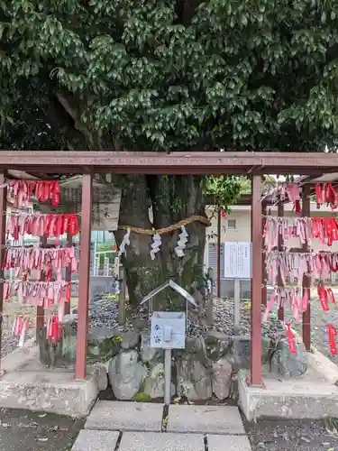 白山神社（二子町）の自然