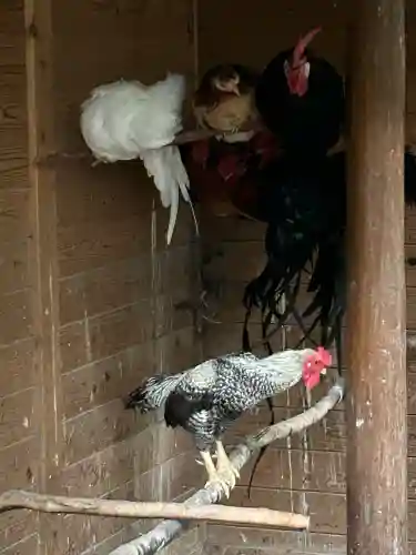 石上神宮(奈良県)