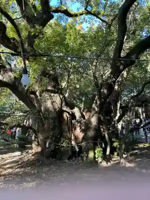 浜松八幡宮(静岡県)