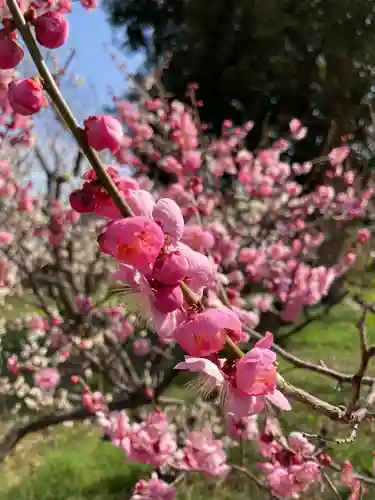 曽根天満宮の庭園