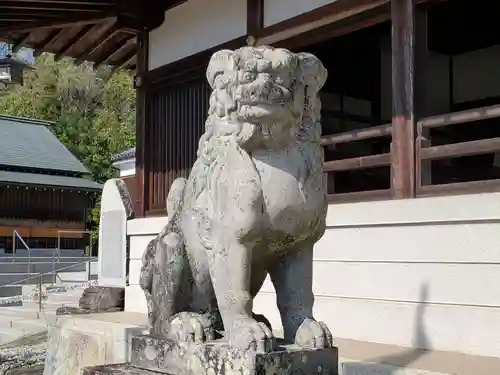 厄除八幡宮　の狛犬