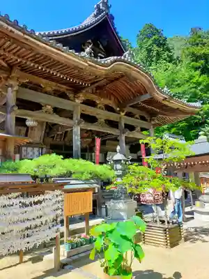 岡寺（龍蓋寺）の本殿・本堂