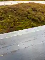 西来院(京都府)