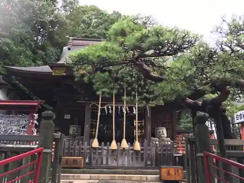 日吉神社の本殿・本堂