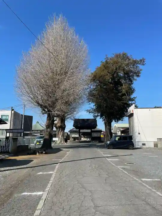 天王院の{uncategorized: "未分類", other: "その他", undefined: "問題あり", building: "その他建物", grave: "お墓", sacred_gate: "鳥居", guardian: "狛犬", statue: "像", buddha: "仏像", history: "歴史", nature: "自然", garden: "庭園", animal: "動物", pagoda: "塔", temizu: "手水舎", mountain_gate: "山門・神門", sanctuary: "本殿・本堂", subordinate: "末社・摂社", art: "芸術", scenery: "景色", jizo: "地蔵", ema: "絵馬", goshuin: "御朱印", omikuji: "おみくじ", items: "授与品その他", amulet: "お守り", goshuincho: "御朱印帳", eats: "食事", festival: "お祭り", votive_dance: "神楽", shichigosan: "七五三参", wedding: "結婚式", experience: "体験その他", initially: "初詣", around: "周辺", anti_infection: "感染症対策"}