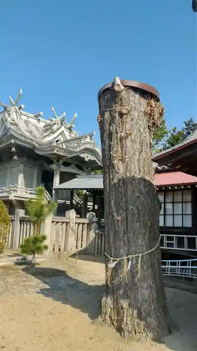 熊野神社の自然
