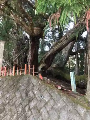 桜實神社の自然