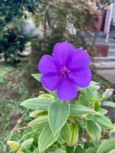中田出世稲荷神社(東京都)