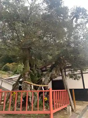 山王宮日吉神社(京都府)