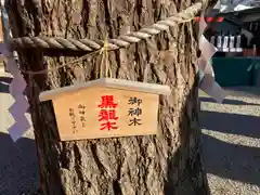 田無神社(東京都)