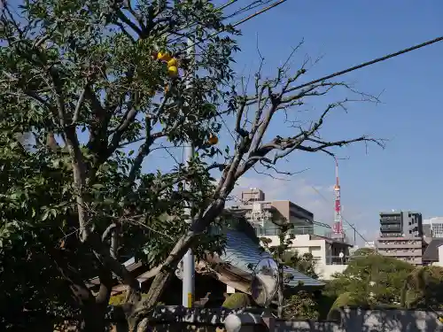 玉鳳寺のその他建物
