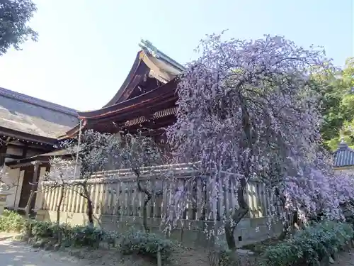 道明寺天満宮(大阪府)