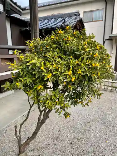 太閤山常泉寺(愛知県)