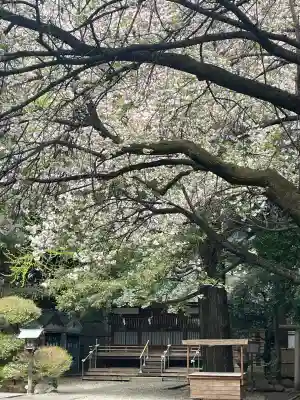 ときわ台天祖神社(東京都)