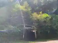 白山神社の鳥居