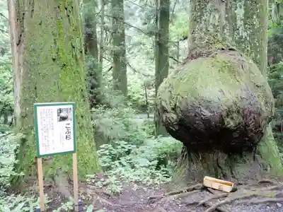 花園神社(茨城県)
