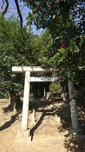 琴平八幡神社の鳥居