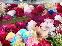 札幌諏訪神社の手水舎