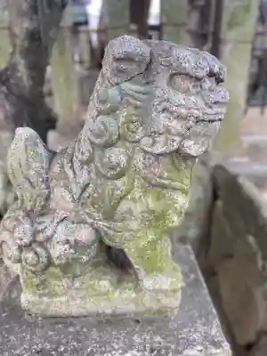 横田神社の狛犬