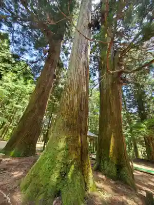 藤沼神社(福島県)