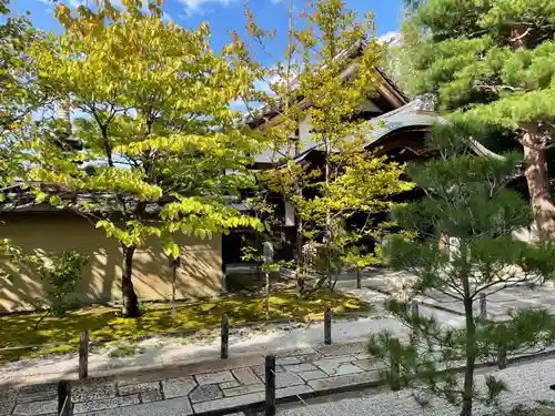 大仙院(京都府)