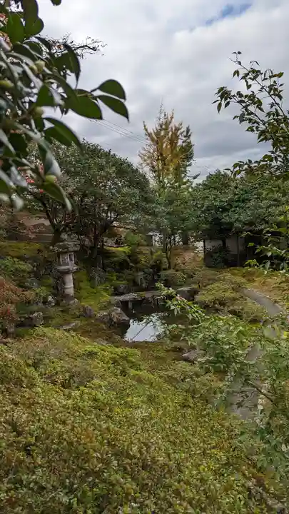 霊鑑寺門跡(京都府)