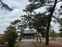 法隆寺の{uncategorized: "未分類", other: "その他", undefined: "問題あり", building: "その他建物", grave: "お墓", sacred_gate: "鳥居", guardian: "狛犬", statue: "像", buddha: "仏像", history: "歴史", nature: "自然", garden: "庭園", animal: "動物", pagoda: "塔", temizu: "手水舎", mountain_gate: "山門・神門", sanctuary: "本殿・本堂", subordinate: "末社・摂社", art: "芸術", scenery: "景色", jizo: "地蔵", ema: "絵馬", goshuin: "御朱印", omikuji: "おみくじ", items: "授与品その他", amulet: "お守り", goshuincho: "御朱印帳", eats: "食事", festival: "お祭り", votive_dance: "神楽", shichigosan: "七五三参", wedding: "結婚式", experience: "体験その他", initially: "初詣", around: "周辺", anti_infection: "感染症対策"}